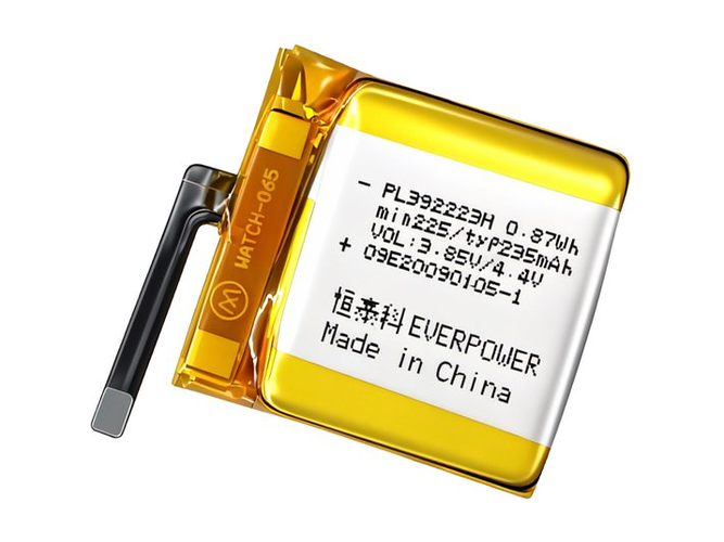 Amazfit PL392223H battery