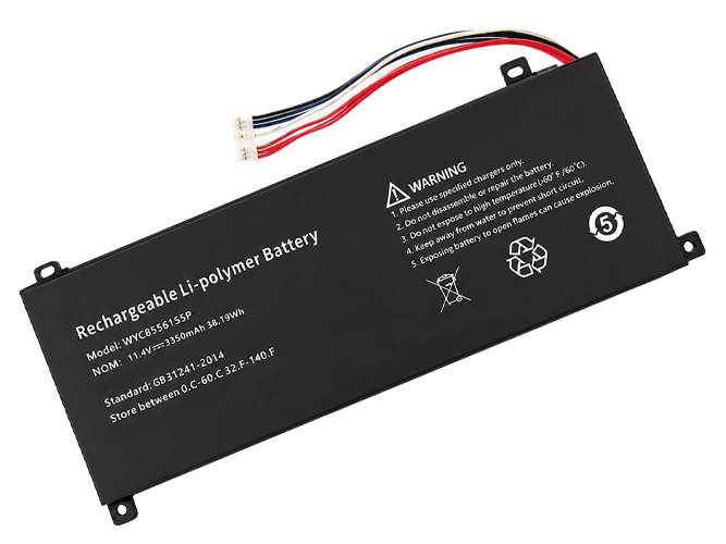 AolsteCell WYC8556155P battery
