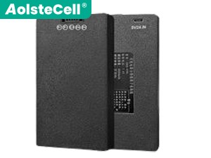 AolsteCell ZNS-09H1 battery