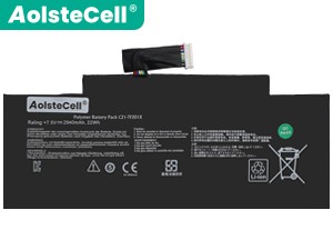 Asus TF300TG battery
