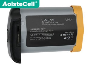 Canon LP-E19 battery