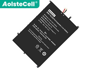 IPASON MaxBook P1 battery