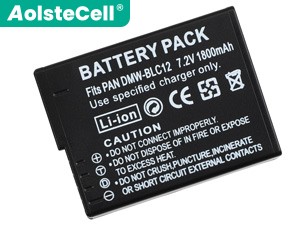 Leica V-LUX 5 battery