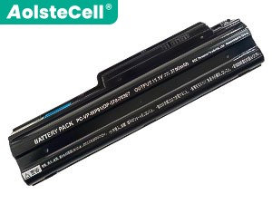 NEC PC-VP-WP90 battery