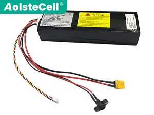 Segway Ninebot 36V L6 Electric Scooter battery