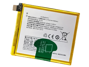 Vivo B-G3 battery