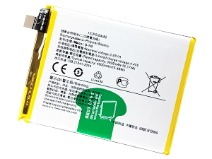 Vivo B-N8 battery